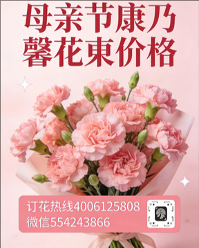 新疆伊宁市花店母亲节康乃馨花束